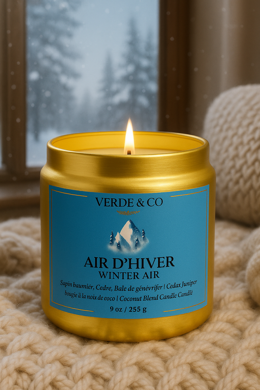 Winter Air Candle – Fresh Mint, Eucalyptus & Cool Woods | Luxury Coconut Wax Candle